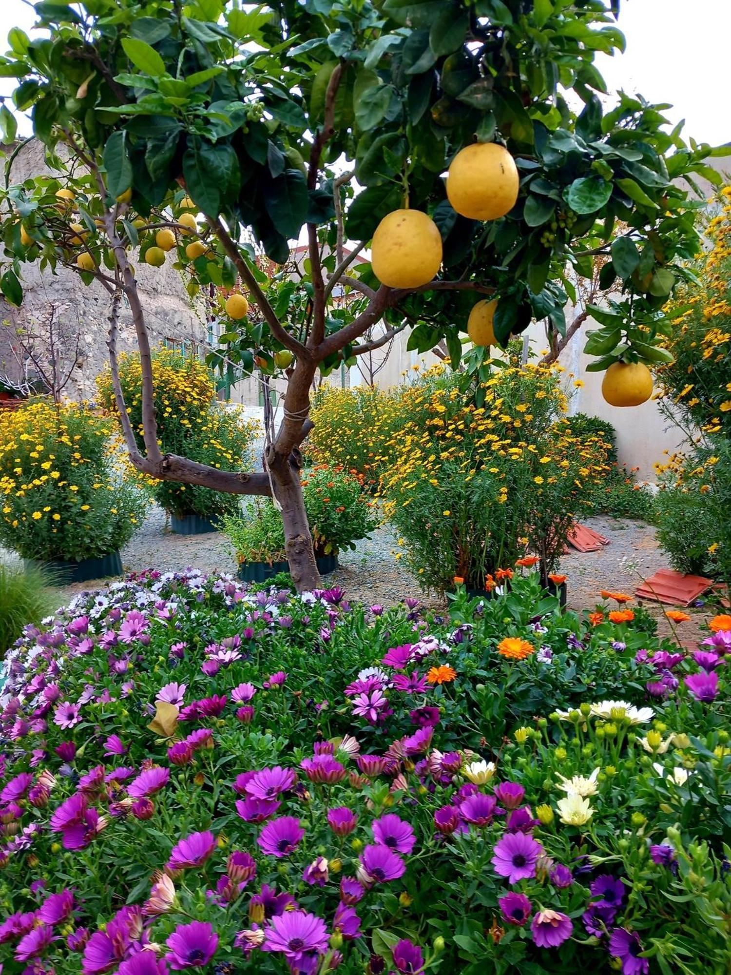 4 Seasons Suites Paradise Near Athens Airport Markopoulo Mesogaias ภายนอก รูปภาพ