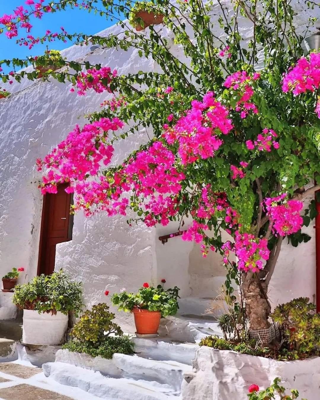 4 Seasons Suites Paradise Near Athens Airport Markopoulo Mesogaias ภายนอก รูปภาพ